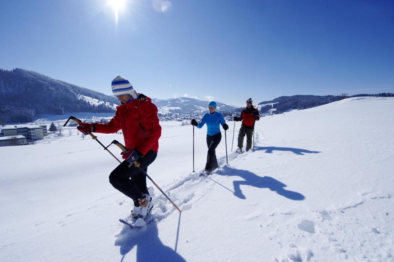 Chalet Ifen Am Hochgrat اوبرستوفن المظهر الخارجي الصورة